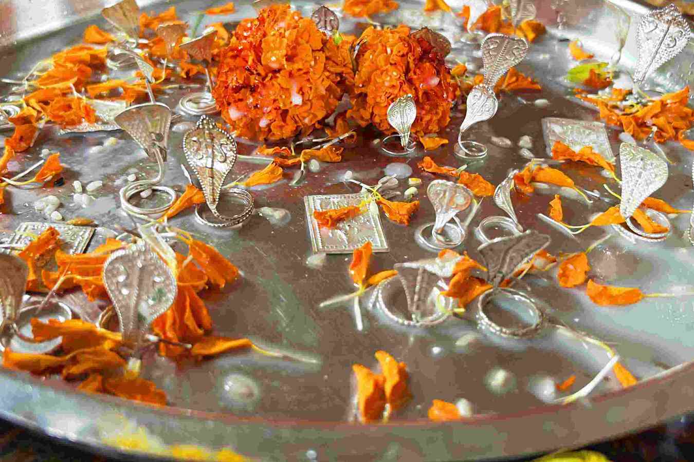 Kalsarp Pooja