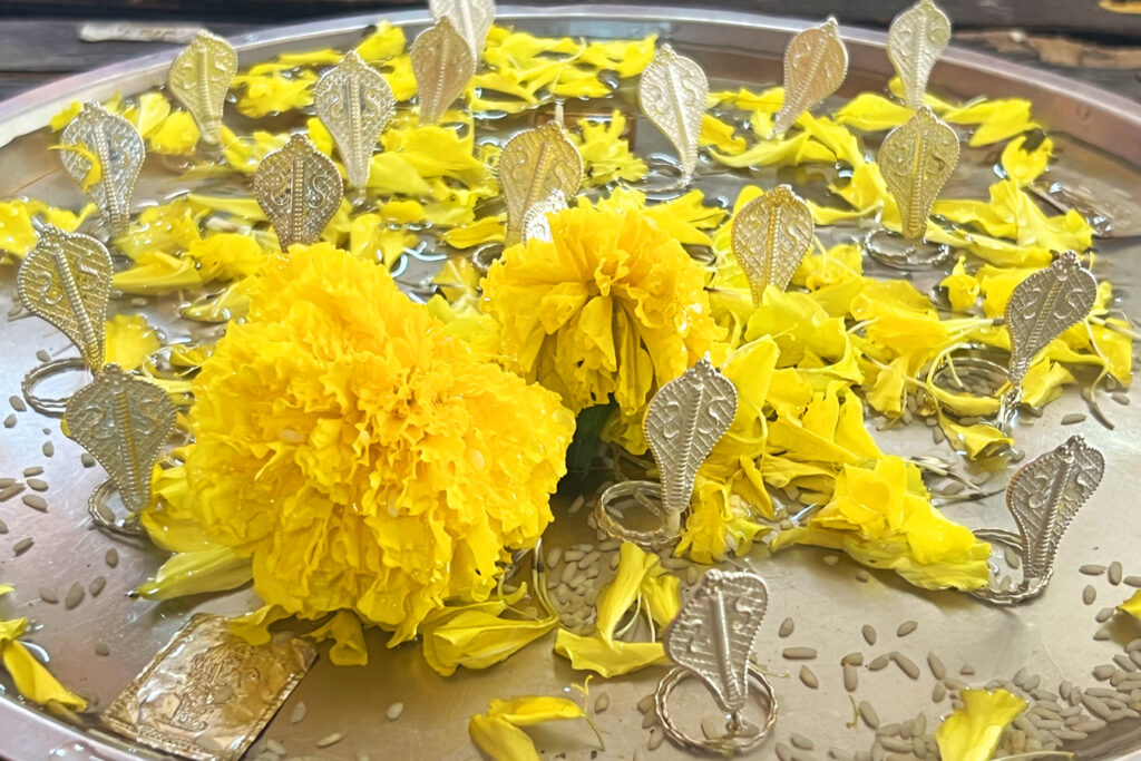 kalsarp puja